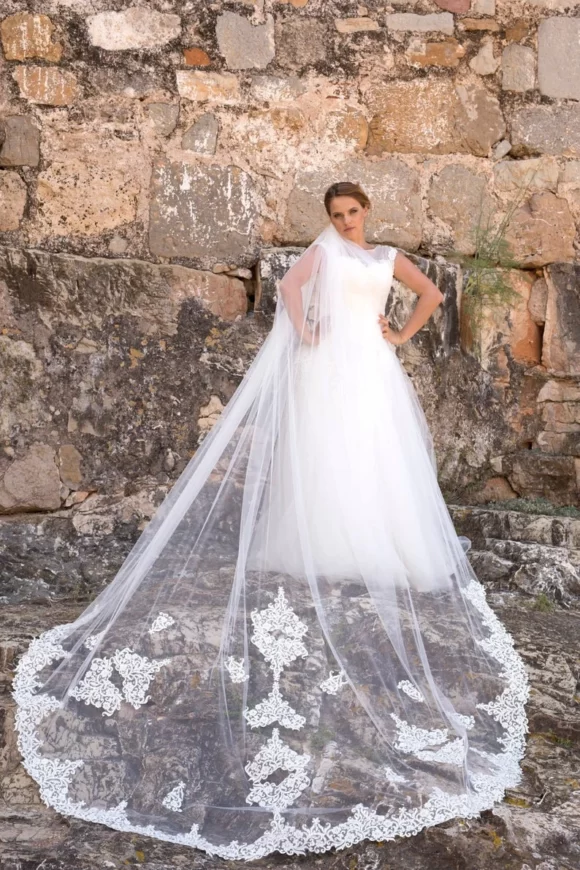 Elegant Bridal Single Layer Lace Trim Veil