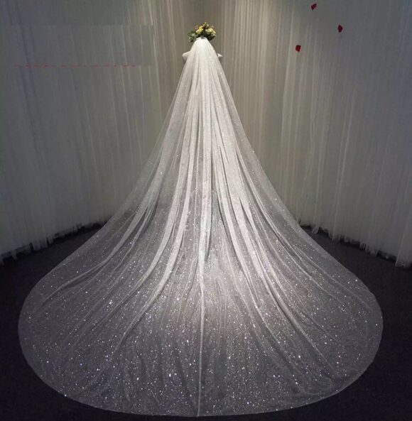 1 layer veil glitter shimmer sparkly veil